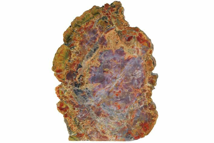 Colorful, Free-Standing Petrified Wood - Arizona #185090